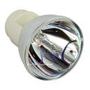 LHT-2050/3050 OB ベンキュープロジェクター用 交換用バルブ純正バルブ(P-VIP240/0.8 E20.9)球のみ 120日保証付 送料無料 純正互換品