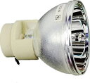 LMS-53/MW533/MH534 OB ベンキュープロジェクター用 交換バルブ(球のみ)純正バルブ(VIP210W 0.8 E20.9)採用 120日保証付 送料無料 純正互換品