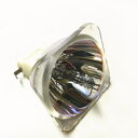 ホーンテッドミュージアム用 業務用 汎用バルブ(球のみ)CB60日保証付 在庫納期1~2営業日/欠品納期1週間~