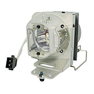 SP.77011GC01 Optoma オプトマ プロジェクター用 純正バルブ（球のみ）純正互換品 保障付 送料無料 通常納期1週間〜