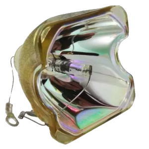LMP-C200 CB ソニープロジェクター交換用バルブ(球のみ)LMPC200 新品 プロジェクターランプ交換ランプ 保証付 通常納期1週間〜 LMP-C200 CB ソニープロジェクター交換用バルブ(球のみ)LMPC200 新品 プロジェクターランプ交換ランプ 保証付 通常納期1週間〜