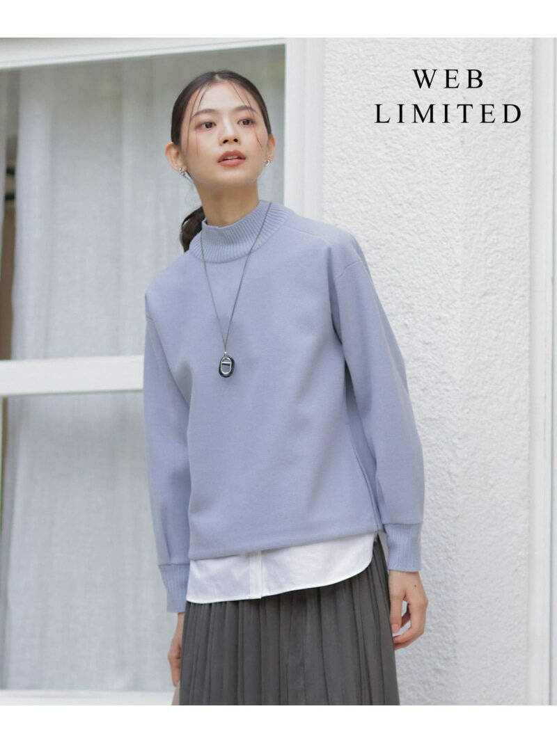 Rakuten - 【SALE／50%OFF】【WEB限定カラーあり】ニードルパンチ カットソー J.PRESS LADIES L ジェイプレス トップス カットソー・Tシャツ ベージュ ブラウン グレー グリーン ブルー【RBA_E】【送料無料】[Rakuten Fashion]