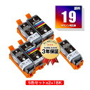 BCI-19BK BCI-19CLR 顔料 5色セット×2 + BCI-19BK お得な5個セット キヤノン 用 互換 インク メール便 送料無料 あす楽 対応...