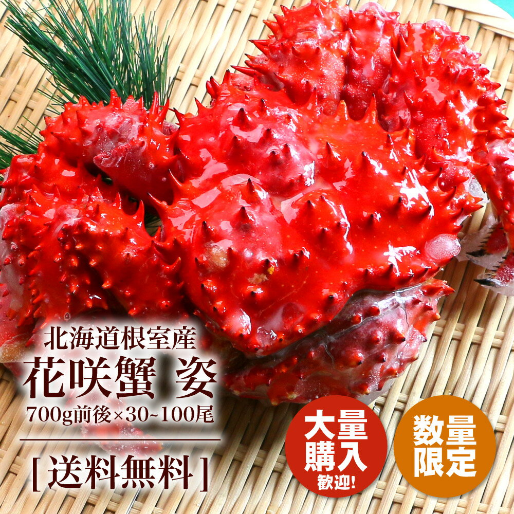 カニ かに 蟹 花咲蟹 北海道産 花咲ガニ 姿 1尾 特大 700g前後 セット 花咲かに カニ姿 姿カニ カニ通販 蟹通販 冷凍かに 海の幸ギフト 北海道 茹で ボイル 贈答 お取り寄せグルメ 美味しいものお取り寄せ 北海道グルメ はなさきがに ハナサキガニ 花咲 はなさき ボイル蟹(4)