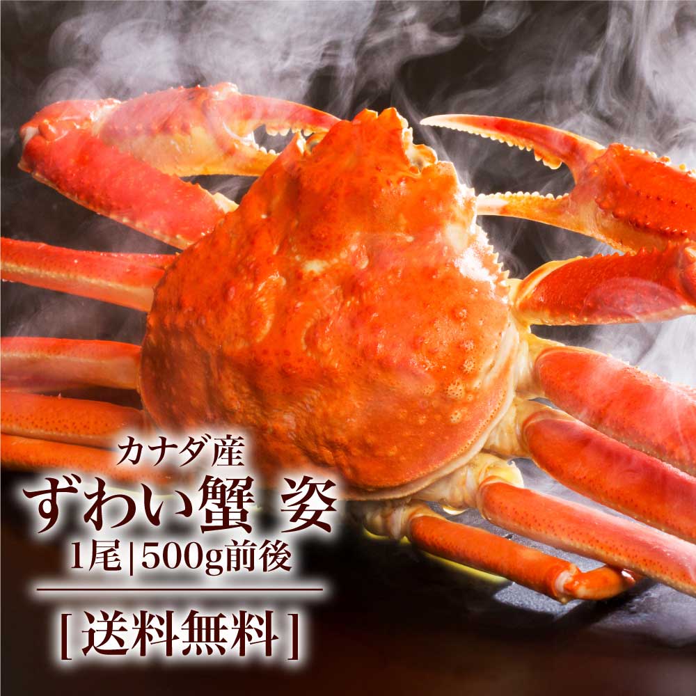 カニ かに 蟹 ズワイガニ カナダ産 ずわい蟹 姿 1尾 500g前後 ずわい ずわいがに 姿 ズワイ ズワイ蟹 送料無料 ズワイガニ姿