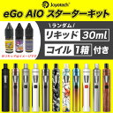 【リキッド30ml × 予備コイル5個付(