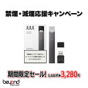 【新生活応援キャンペーン！】JUUL Basic Kit［正規品］ジュール 本体のみ 電子タバコ VAPE ニコチンゼロ タールゼロ【レビューで300円クーポン】