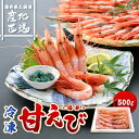 三国港直送 越前甘えび500g 送料無料【甘えび 越前 直送 福井産 とろける 濃縮 絶品 お取り寄せグルメ】