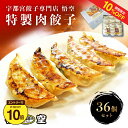 【10%OFF+エントリーP10 6/4 20:00〜6/11 1:59】特製肉餃子36個セット 送料無料【餃子専門店宇都宮 悟空 35g×36個 冷凍餃子 冷凍食品 食品 惣菜 中華惣菜 点心 中華 中華点心 グルメ 定番メニュー 餃子 パーティー ぎょうざ ギョーザ おいしい おつまみ ギフト】
