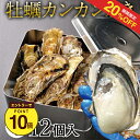 【20%OFF+エントリーP10 6/4 20:00~6/11 1:59】宮城県雄勝湾 牡蠣のカンカン焼きセット(中) 送料無料【中サイズ牡蠣12個 カンカン焼きセット(蒸し用缶、軍手、簡易ナイフ) 商品レシピ付き 宮城県 石巻市 雄勝町】