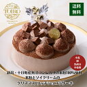 ポイント10倍!送料無料 TOIRO クリスマス リッチショコラケーキ5号(直径約15cm)チョコレートケーキ 小麦・卵・乳成分不使用 魚沼コシヒカリの米粉100%使用 ソイクリーム チョコクリーム グルテンフリー生活志向の方にもおすすめ アレルギー対応 【予約】