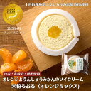 【グルテンフリーな食生活におすすめ】TOIRO米粉ろおる オレンジミックス ロールケーキ 米粉 豆乳クリーム アレルギー対応 小麦不使用 卵不使用 乳製品不使用 特定原材料不使用 卵なし 小麦なし 魚沼コシヒカリ米粉100% お祝い 冷凍ケーキ 個包装