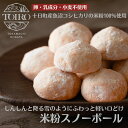 【焼菓子 TOIRO 米粉 スノーボール 】クッキー 卵・乳成分・小麦不使用 十日町産魚沼コシヒカリの米粉100% 十日町すこやかファクトリー アレルギー対応 ブールドネージュ ポルボローネ プチギフト お取り寄せ 米粉 プレゼント ほろほろクッキー くちどけ お返し