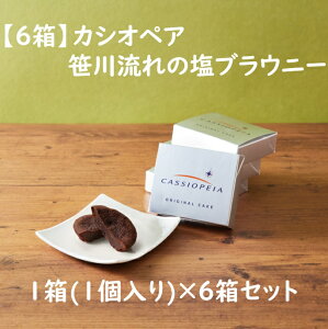 【チョコブラウニー】カシオペア 笹川流れの塩ブラウニー1箱(1個入り) 6箱 寝台特急 鉄道 カシオペア紀行 電車 新潟 団体専用臨時列車 お菓子 挨拶 御礼 お菓子 お祝い ショコラ ケーキ プチギフト 個包装 お返し スイーツ 鉄道好き
