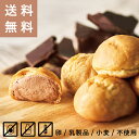 【送料無料】すこやかチョコレートシュークリーム(6個入り×4袋)〔卵・乳・小麦不使用〕アレルギー対応おやつ 冷凍スイーツ 豆乳クリーム お取り寄せスイーツ　バレンタイン