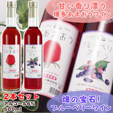 九州 ギフト 2020　立花ワイン　博多あまおうワイン+ブルーベリーワインセット（500ml×2本箱入）【化粧箱入】【福岡土産】【常温】