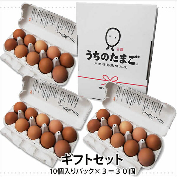 九州 ギフト 2025　JR九州ファーム「うちのたまご」ギフトセット（10個入パック×3）【代引不可】I97Z02【常温（ゆうパック）】