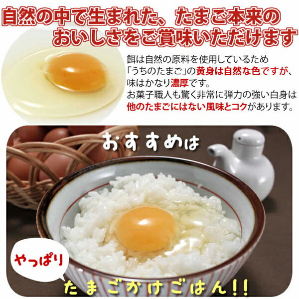 九州 ギフト 2025　JR九州ファーム「うちのたまご」ギフトセット（10個入パック×3）【代引不可】I97Z02【常温（ゆうパック）】