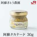 九州 ギフト 2025 阿蘇さとう農園 阿蘇タカナード 30g 高菜 マスタード 九州 熊本 阿蘇 贈り物 お土産 お取り寄せ プチギフト 常温
