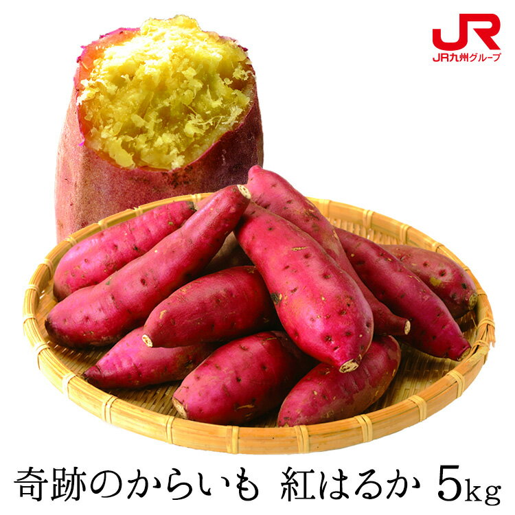 九州 ギフト 2022　ふるさと駅　奇跡のからいも　紅はるか（5kg） S〜2Lサイズ 熊本県産　さつまいも I51Z64 常温