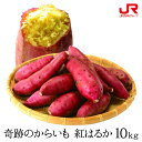 九州 ギフト 2024　ふるさと駅　奇跡のからいも　紅はるか（10kg） S～2Lサイズ 熊本県産　さつまいも I51Z65 常温 その1