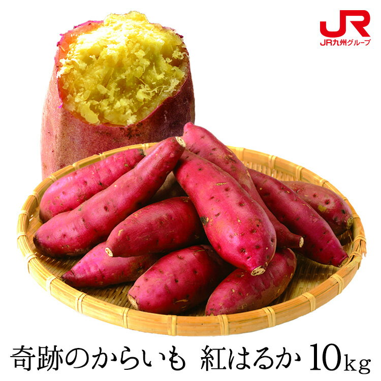 九州 ギフト 2025 ふるさと駅 奇跡のからいも 紅はるか(10kg) S〜2Lサイズ 熊本県産 さつまいも I51Z65 常温