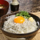 九州 ギフト 2025 マルナカ海産 しらす丼セット 小分け 5食分 特製しょう油付 宮崎 お土産 お取り寄せ グルメ 冷凍