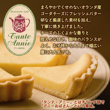 カース・ケイクアニーおばさんのチーズケーキ(小)
