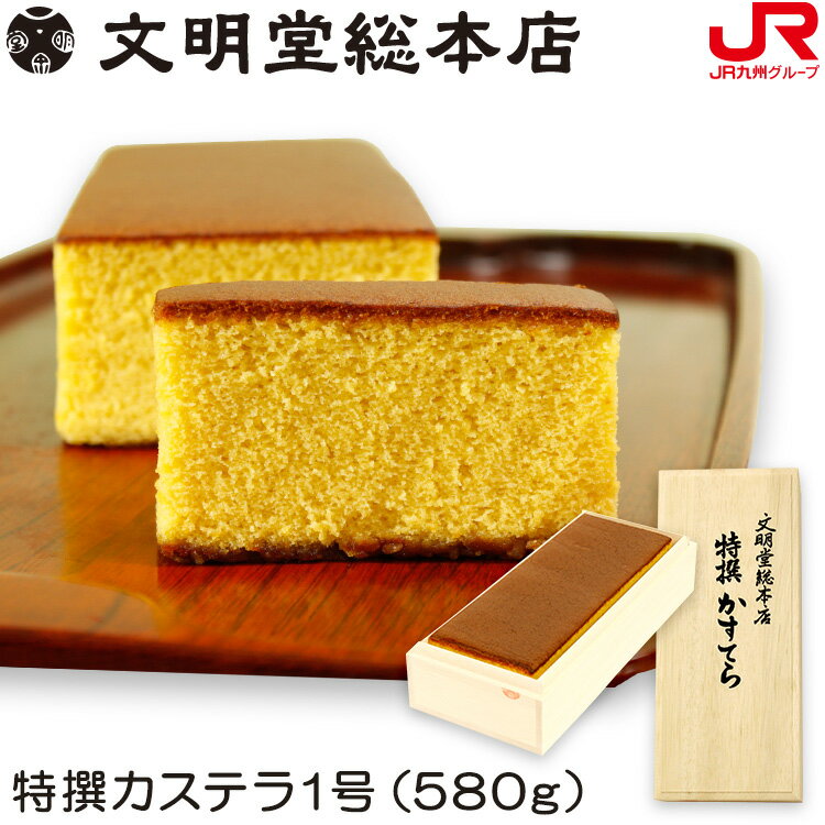 文明堂総本店 特撰カステラ1号（TC-28）（580g） 長崎カステラ ザラメギフト 長崎 お土産 内祝い 出産祝い お返し プチギフト 帰省土産 お取り寄せ 常温