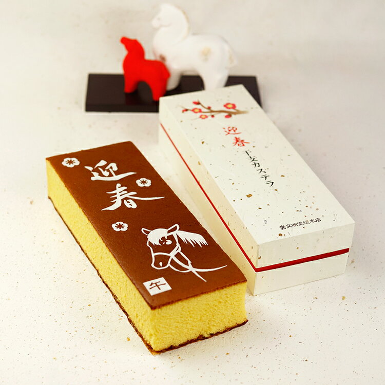 九州 ギフト 2025　文明堂総本店 干