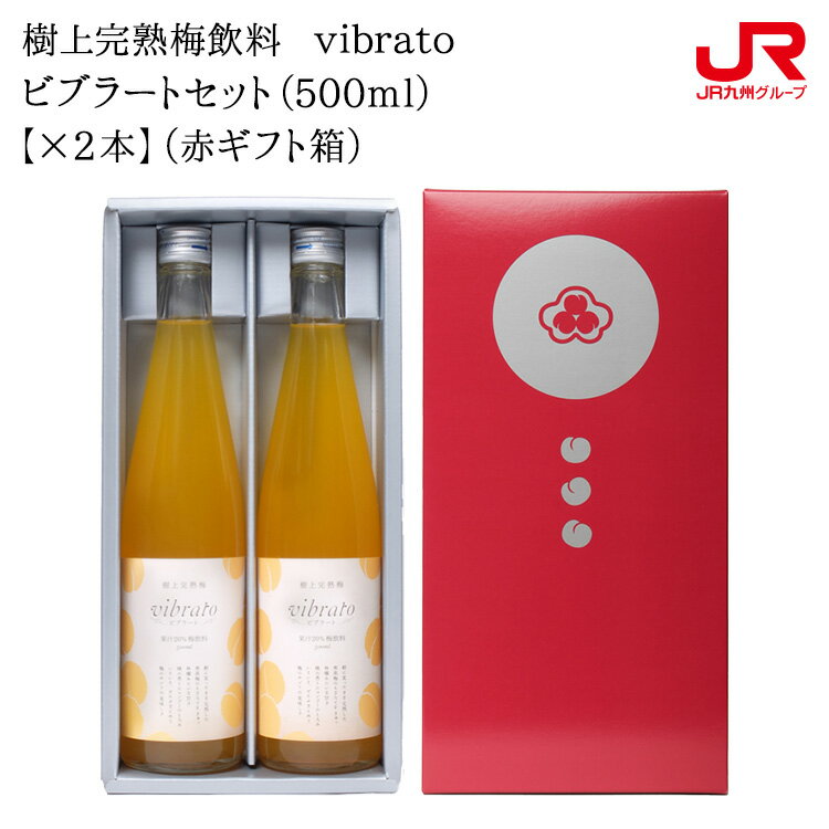 彣 ե 2024̴˼ 崰߰ vibratoӥ֥顼ȥåȡ500mlˡڡ2ܡ֥ۡեȢ 彣 ʬ  £ʪ ڻ  ե ץե ﲹ