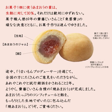 菊家　天空焼あまおう（12個入） あまおう苺使用菓子職人歴69年齋藤じいさんこと東雲齋のこだわりの菓子 大分土産 ギフト 大分 由布院土産 贈り物 お土産 大分県 お取り寄せ 母の日 父の日 御中元 敬老の日 御歳暮 プレゼントI19Z62 常温