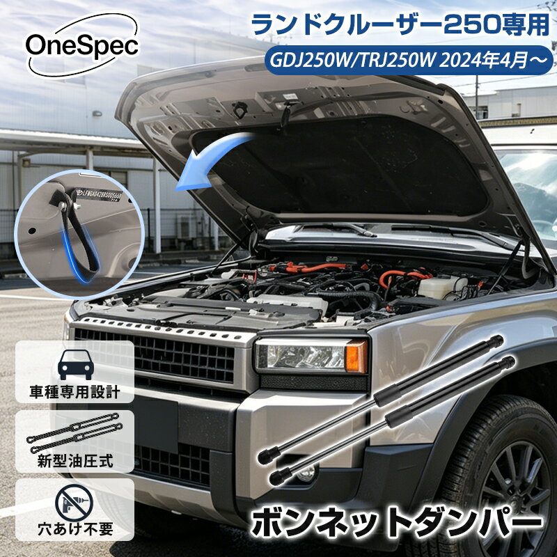 【専用】 SHOEI Z-8にNewカラー「Z-8 IDEOGRAPH」新登場！ | 2りんかんNEWS