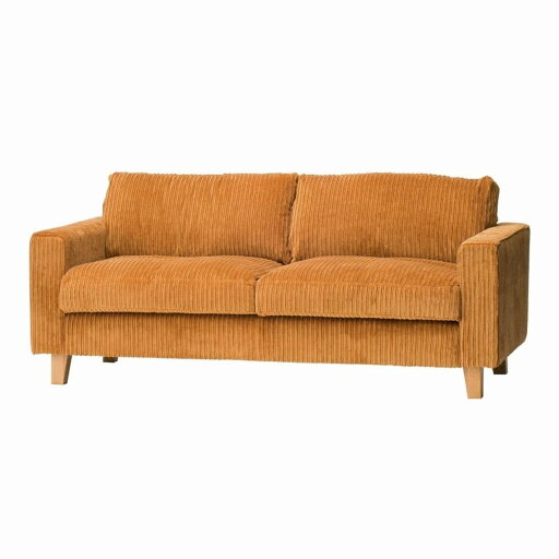 JETTY feather SOFA 2P(L) ジェティ フェザー ソファ 2人掛けロング 家具 ソファ ソファー 2人掛け インテリア ソファ ソファー リラックスチェア チェア チェアー