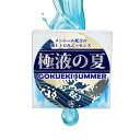 【夏季限定 】極液の夏 スティック 1ケース(10ml×50本入り) スティックパウチ ベタつかない とろみエッセンス 無香料 メントール 配合 セラピスト 出...