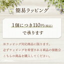 1個に付き110円 ラッピング希望券【選べる包装紙2色 グリーンorオレンジ】 包装 ギフト包装 プレゼント 父の日 母の日 誕生日 卒業祝い 入学祝い 還暦祝い 退職祝い【熨斗対応不可 ラッピング対応商品のみ可】