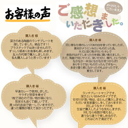 ランチプレートオーバル深型2枚組SET楕円陶器磁器白磁白ホワイト深め深い3つ仕切り仕切り仕切り皿食器ワンプレートおしゃれカフェおうちカフェ食洗機対応絵付け用ポーセリンアートポーセラーツあす楽対応翌日配送即納ラッピング不可