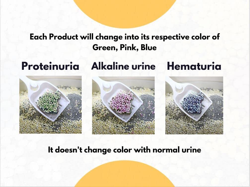 PETJOA Kitty-Medi-Check ǭǢ�򹯥ƥ��ȥ��åȡ�����Ǥδ�ñ�ʥ�˥���� (BLUE)��Ǣ�����å�