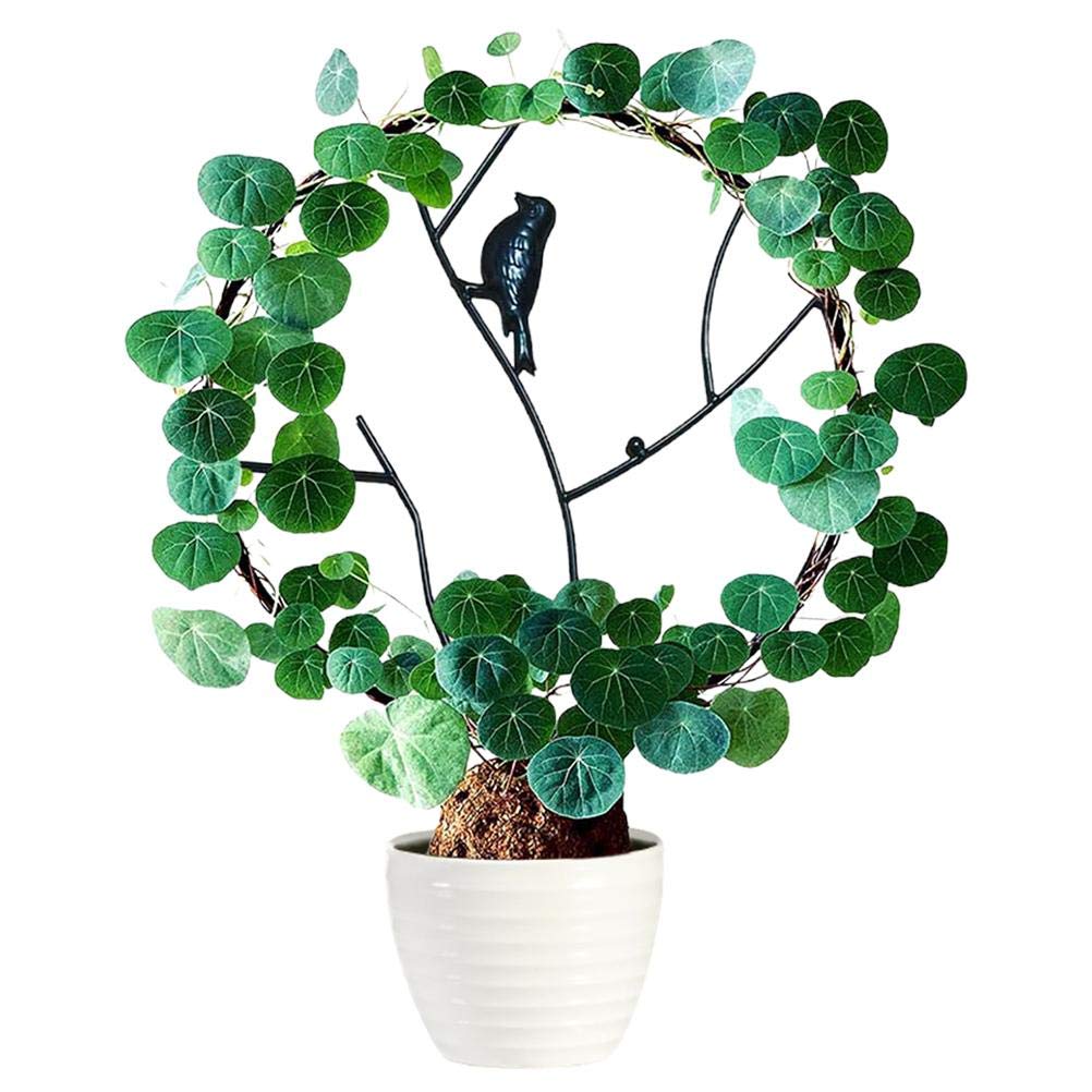 ��ݻ��� ����ѡ��� �Ĥ뿢ʪ ���� ��ʪ���� ��ʪ���ݡ��� �֤����� �Ĥ�����ʪ ���������� Vanow ���ջ���ѥå����� �����ǥ˥��ѻ��� �ֻ٤� ������ ����� ����ê ��� ��ʪ ���� Ͷ������