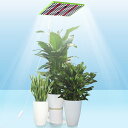 100W 植物育成ライトスタンド付き 自立式 フロア LED植物ライト背の高い植物用 室内栽培 苗木栽培 顕花植物栽培向け水耕栽培ランプ 野菜工場 植物栽培工場...