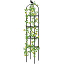 ミニオベリスク 25.4x175cm ガーデニング用支柱 バラ用 つる花 アイビー クレマチス 園芸支柱 簡単組立式 高さ自由調整可能 庭 フラワーアレンジ ロ...
