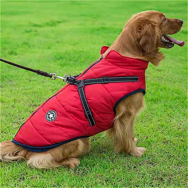 ペットの変装 小型犬の服 中型 冬 暖かい犬のスーツ フレンチブルドッグ 2