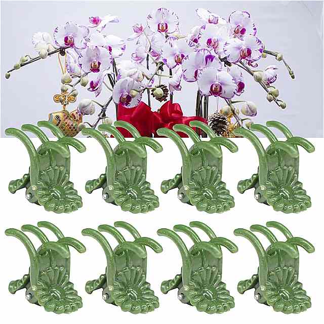 20?50個の5本の爪陸軍緑phalaenoportaporchid 植物クリップ クライミング フラワー の調整可能な クランプは、ネジに固定されています