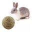 ペット の おもちゃ 天然草の ボール 小さな ペット の歯 動物 ペット 用品