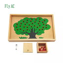 モンテッソーリ教育 材料木製のapple木箱 おもちゃ モンテッソーリ教育 数学 の おもちゃ ブナ木材幼児教育教育 子供 のプレゼントに!のため 0