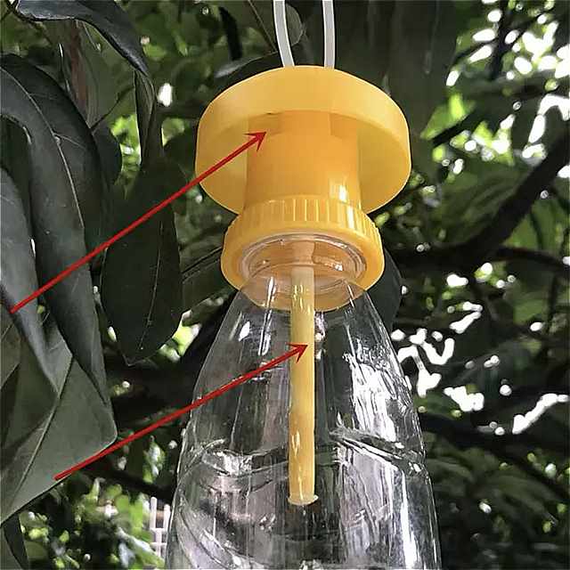 害虫 駆除用の黄色い プラスチック 製の果物とハエの殺虫剤 家庭用の 害虫 駆除 6x6cm x 2cm