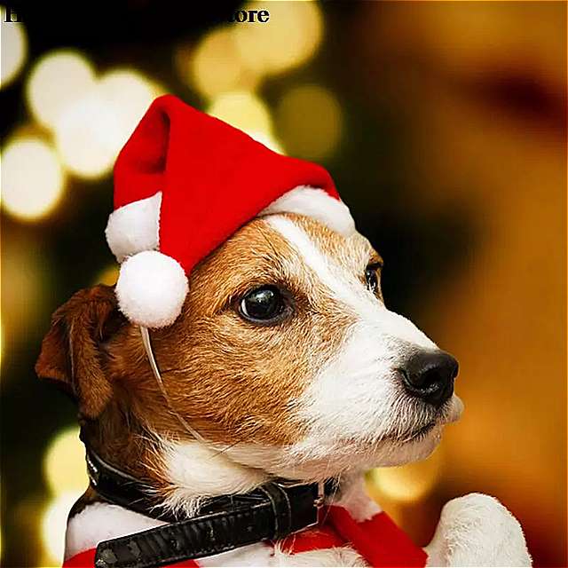 クリスマス のための ペット の変装 クリスマス のための小さな 子犬 の 猫 の犬の 帽子 装飾 的な オーナメント 1ピース コレクション 2022