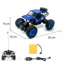 Sinovan RC カー 1:18 コントロール 車 オフロード トラック の おもちゃ 子供 キッズ の高速 クライミング ミニ RC ドリフト 駆動 車(3)