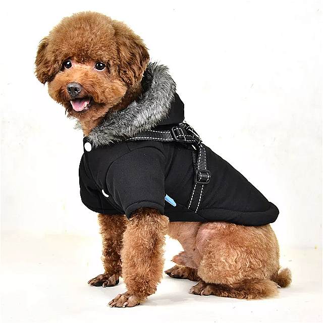 犬用の暖かい冬のコート丈夫な生地黒 屋外 用帽子付きユニークな デザイン と斬新な スタイル