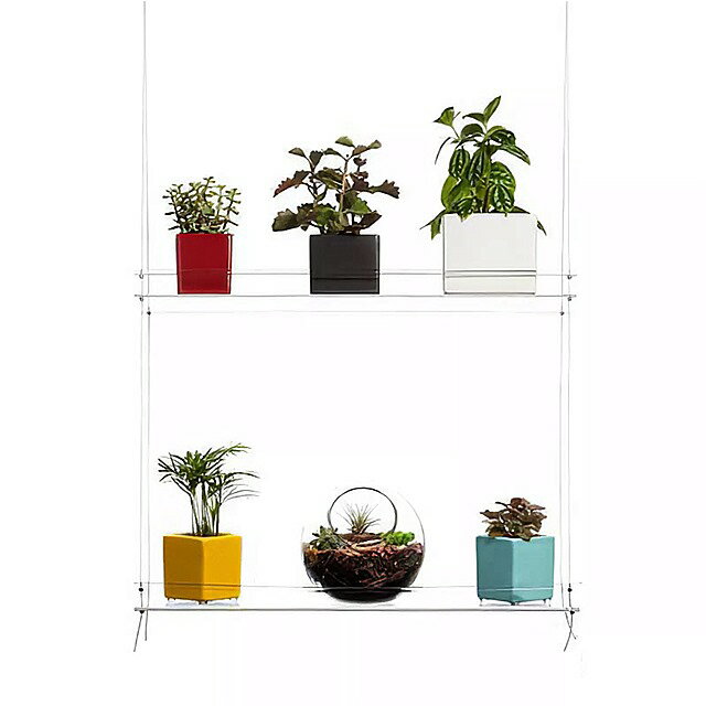 透明な多層棚吊り下げ エレガントな 植物 の棚植木鉢窓